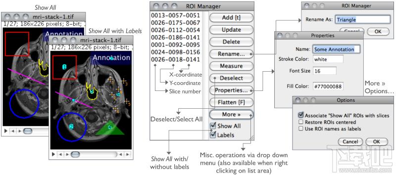 ImageJ x64,ImageJ下载,ImageJ免费版,免费开源