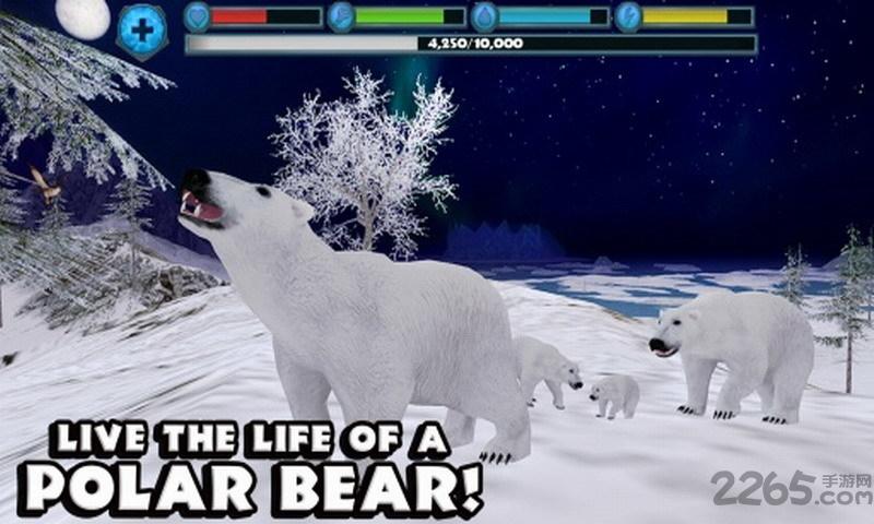 北极熊模拟器中文版(polarbearsim)下载,北极熊模拟器,休闲游戏,模拟游戏